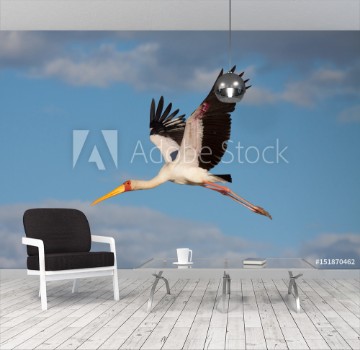 Picture of Yellow Billed Stork Zimbabwe